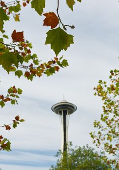 view of autumn leaves and the space needle