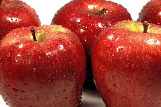 Bunch of red apples isolated on a white background, with drops of water.