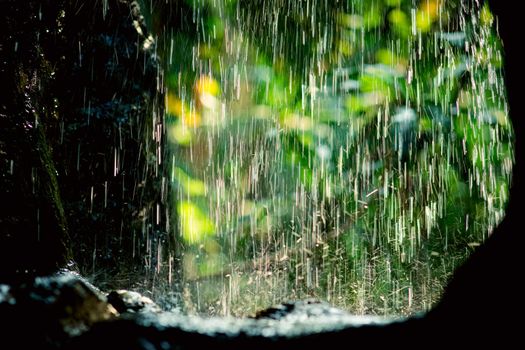 Rain drops in sunlight, natural background