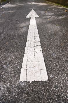 White arrow on the gray asphalt, road sign
