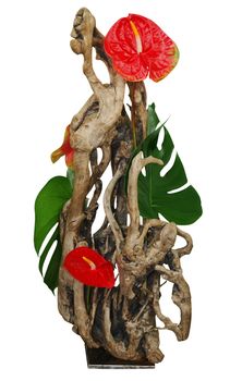 Floral Arrangement using Driftwood isolated with clipping path