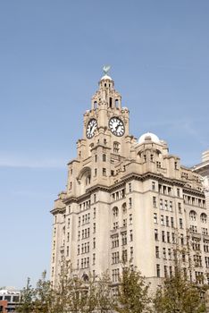 Liverpools Historic Liver Building and Clocktower under a blue sky