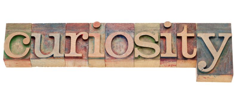 curiosity  - isolated word in vintage wood letterpress printing blocks