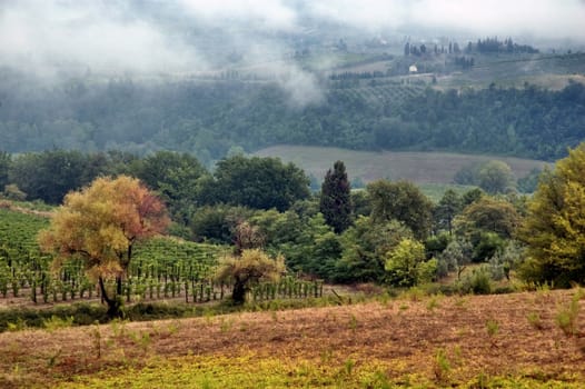 Tuscan hills in Autumn with mist