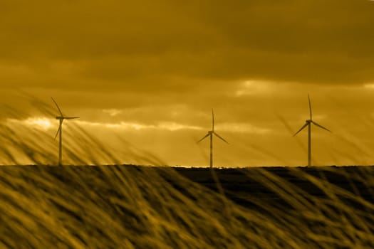 a view from the coastal dunes of an irish wind farm