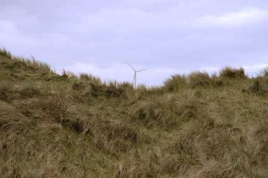 a view from the coastal dunes of an irish wind farm