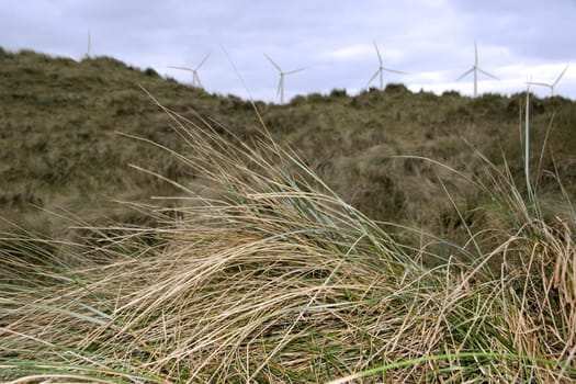 a view from the coastal dunes of an irish wind farm