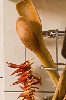 kitchen series: wooden spoon and dry red pepper