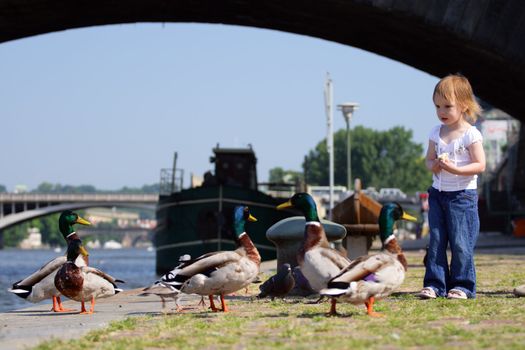 Little beauty girl feedind wild ducks at landing stage or river embankment at sunny day. We see ship not in fokus at background. Prague, Vltava.