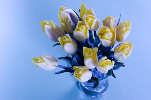 flower series: yellow tulips bouquet in the bowl