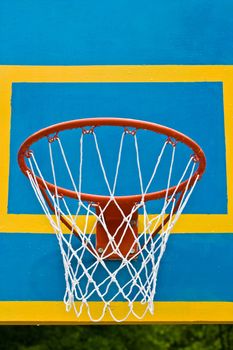 sport series: basket for the basketball game