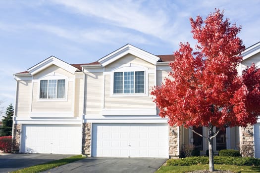 Suburban life - houses seen during the fall.