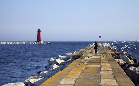 Tourist running on the pier and scaring the birds away.