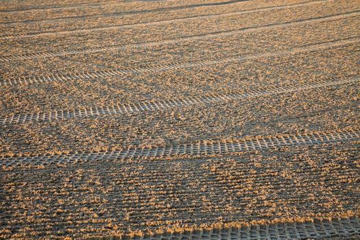 Volleyball field on the beach cleaned in the morning - seen in Chicago by Lake Michigan.