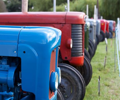 Old antique tractors in lineup at agricultural show