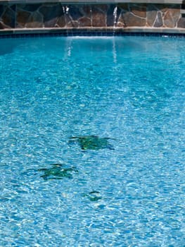 Three tiled turtle shapes on the floor of a blue swimming pool with ripples and a distant out of focus waterfall