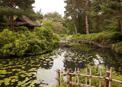 Ornate bridge in Japanese garden