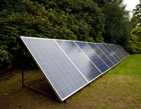 Row of solar panels beside garden hedge facing the sun