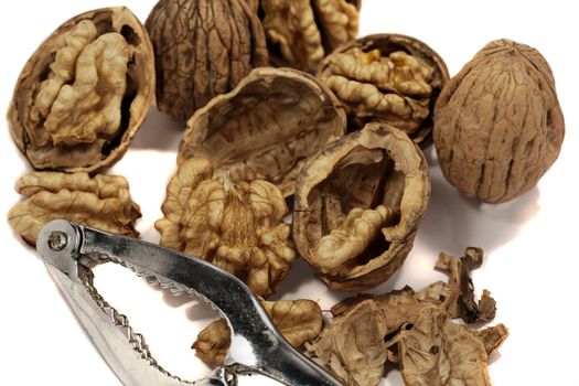 close view detail of  some walnuts  isolated on a white background.