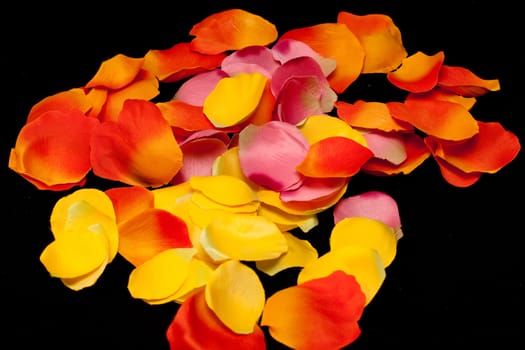 Orange, yellow and pink rose textile petals on black
