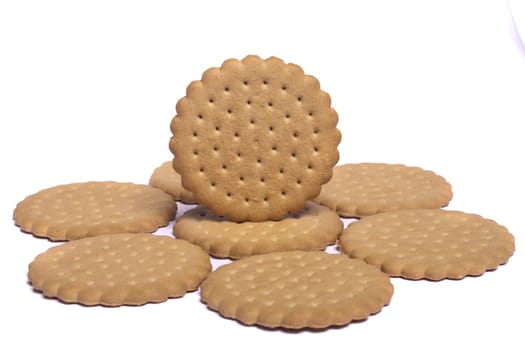 View of a circle of round biscuits isolated on a white background.