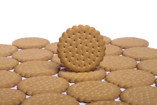 View of many round biscuits isolated on a white background.