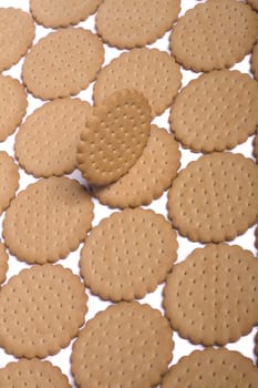 View of many round biscuits isolated on a white background.