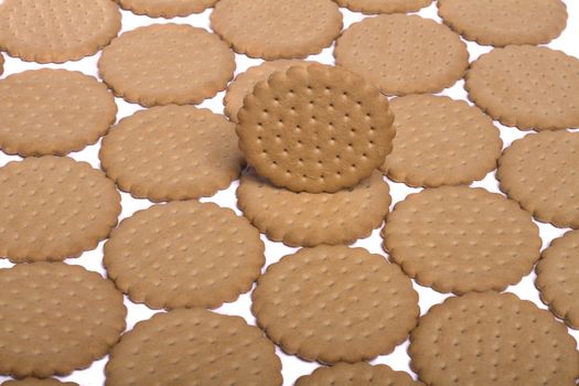 View of many round biscuits isolated on a white background.