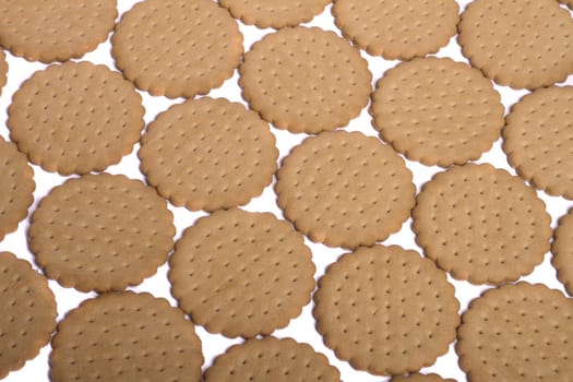 View of many round biscuits isolated on a white background.