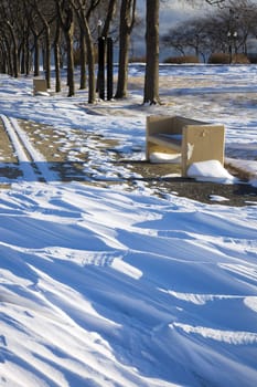 Bench in Olive Park - Chicago, Illinois.