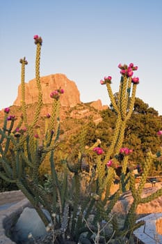 Sunset in Big Band National Park, Texas.