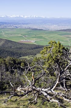 Colorado - Gunnison and Montrose area