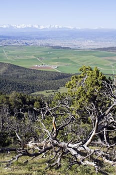 Colorado - Gunnison and Montrose area