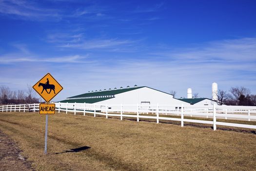 Horseback Riding and the stables.