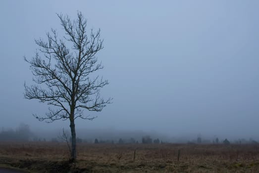 autumn weather