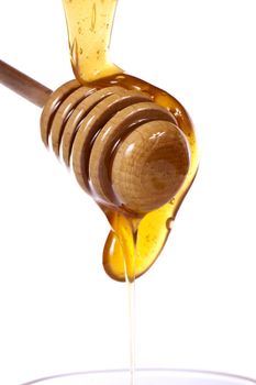 Close up view of honey dipper with honey dripping isolated on a white background.