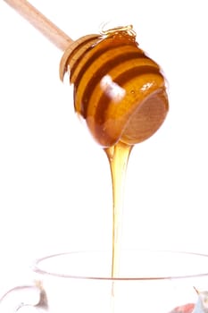 Close up view of honey dipper with honey dripping isolated on a white background.