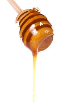 Close up view of honey dipper with honey dripping isolated on a white background.