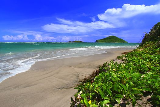 Tropical beach on the Caribbean island of Saint Lucia.