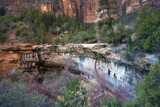 Fall in Zion National Park, Utah.