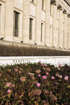 Flowers and Columns - side of Field Museum in Chicago.