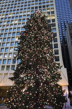 Christmas Tree in downtown Chicago