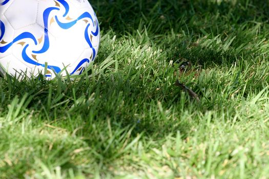 Soccer ball resting in green grass in the shade