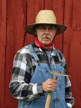 farmer holding a garden hoe wearing bib overalls with a barnboard background in vertical format