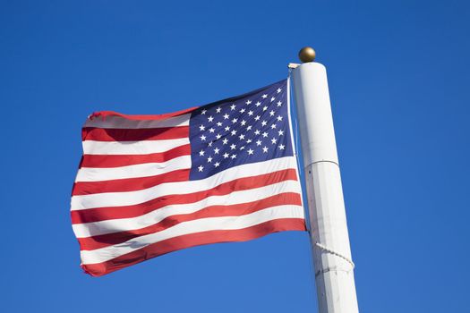 Stealth cellular antennas in the flag pole.