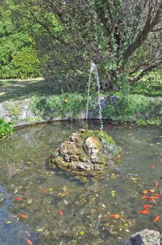 Fountain with goldfishes at Aglie castle, Piedmont, Italy