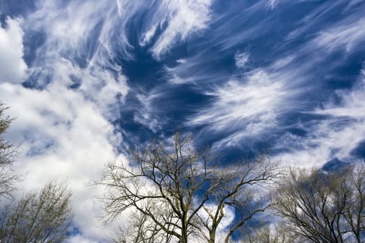 Amazing Cirrus clouds - spring time