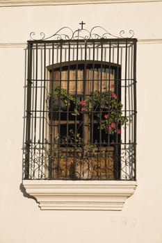 Window seen in Antigua, Guatemala
