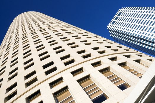 Looking up in Downtown Tampa, Florida.