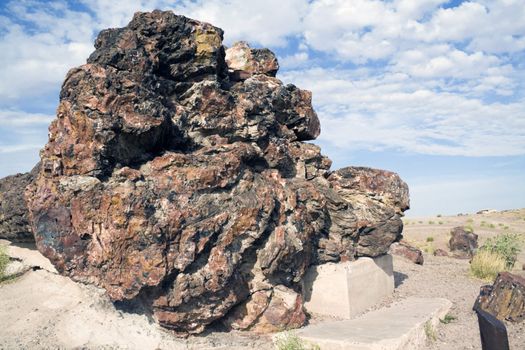 Petrified Wood in Petrified Forest National Park.